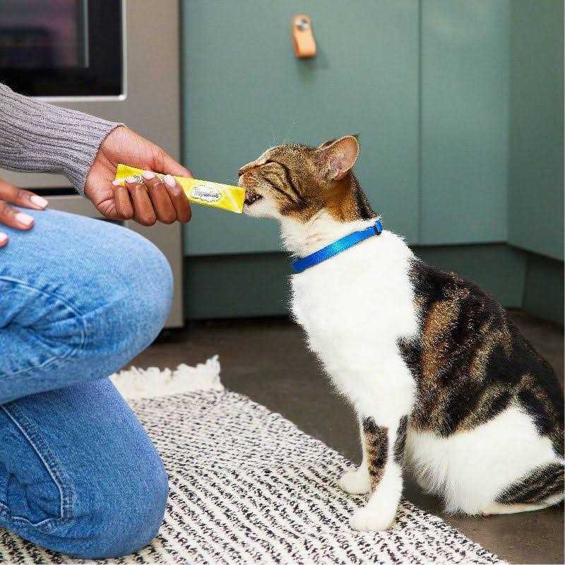 Creamy Puree Lickable Cat Treats S600205
