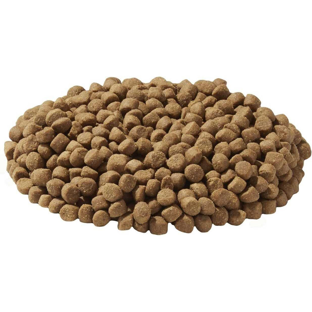 Dry Dog and Cat Food O286