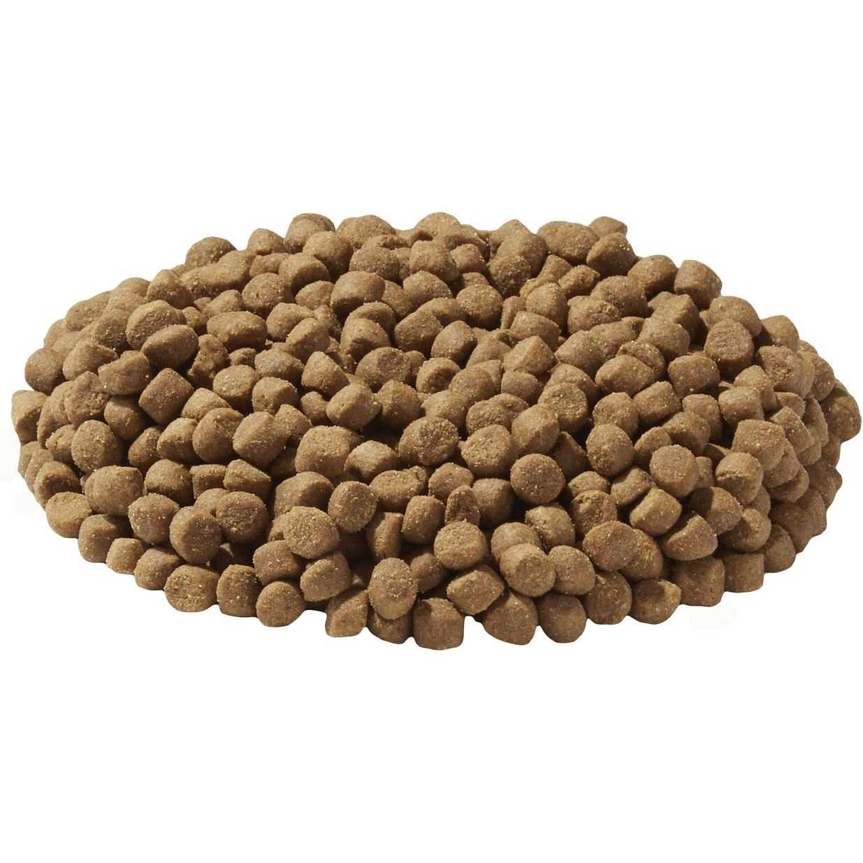 Dry Dog and Cat Food O286