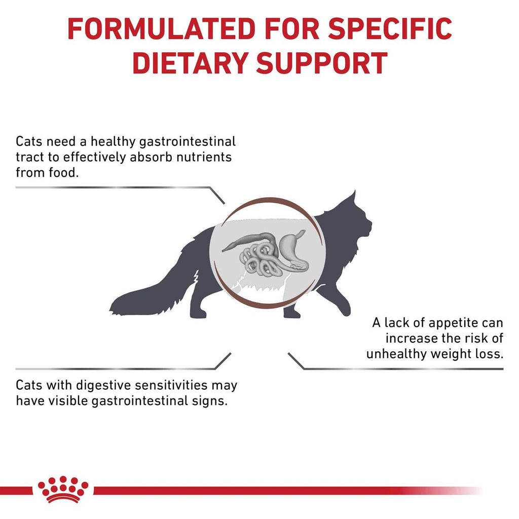 Gastrointestinal Dry Cat Food M911