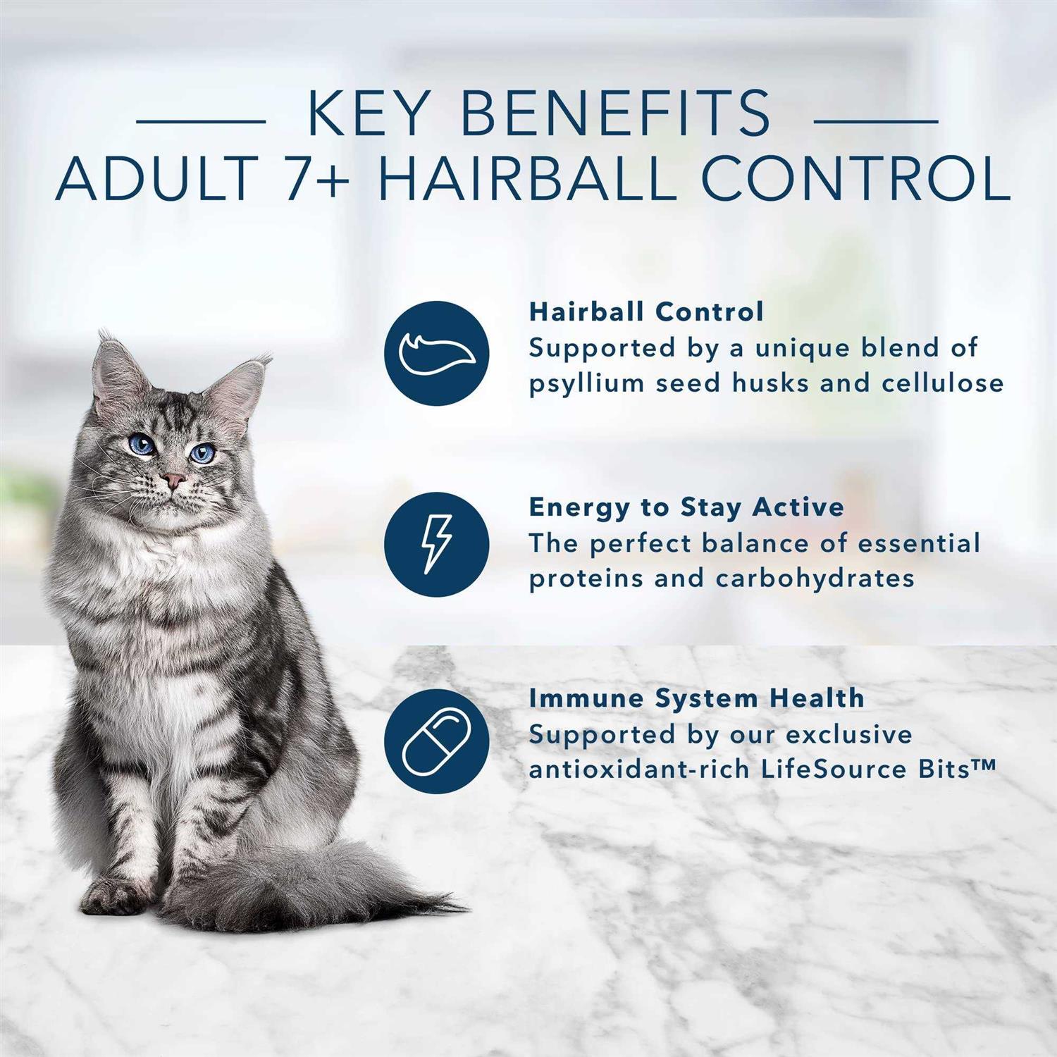 Indoor Hairball Control Dry Cat Food W261043