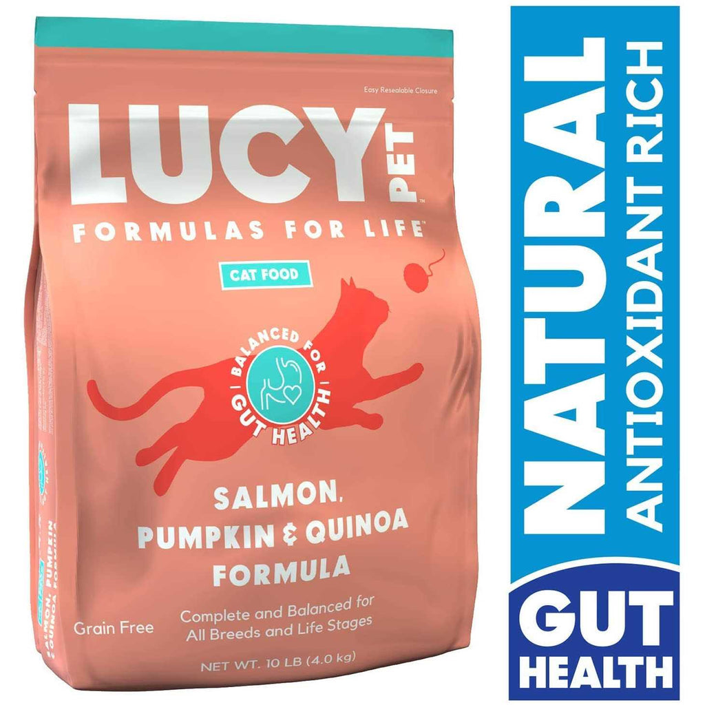 Dry Cat Food Salmon Q250698