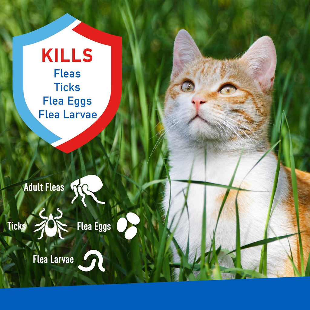 Flea and Tick Spray for Cats W922527