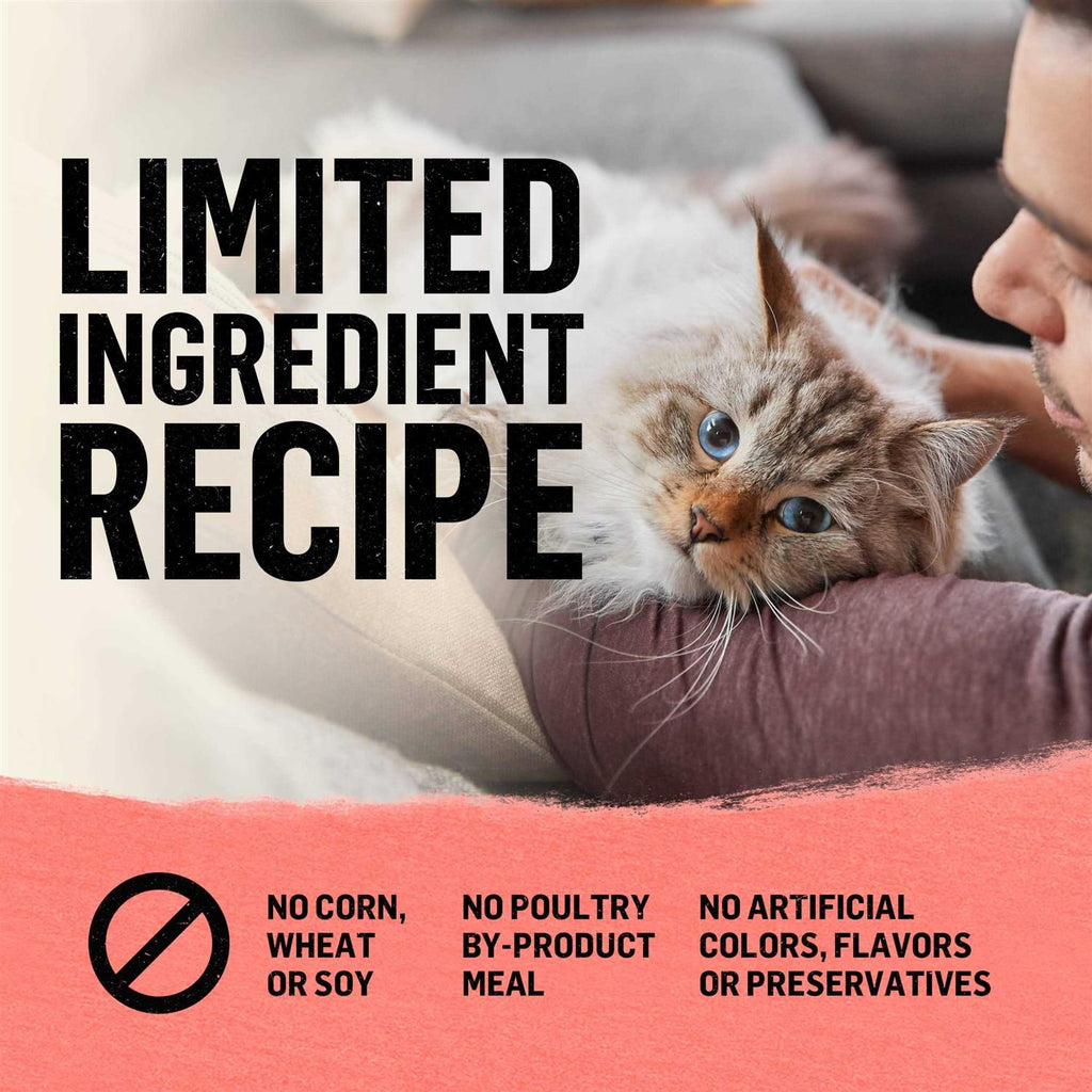 Indoor Salmon Dry Cat Food I38157