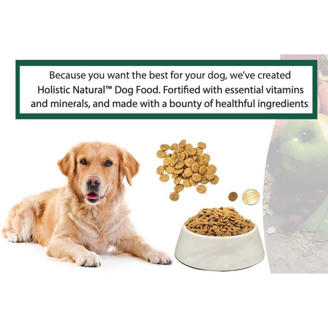 Holistic Natural Adult Dry Dog Food, Chicken Meal and Brown Rice Recipe 6.6 lb Bag I428