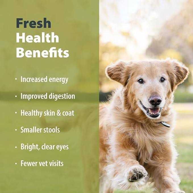 Balanced Remedy Frozen Dog Food B8072
