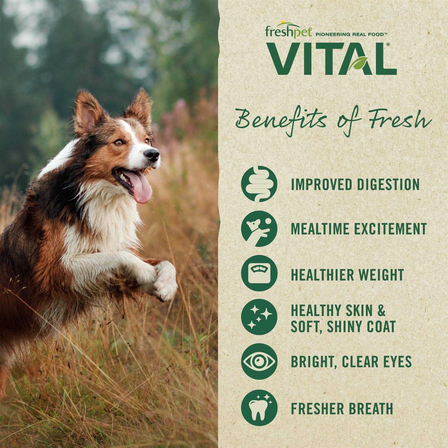 Grain-Free Beef & Bison Fresh Dog Food M165910
