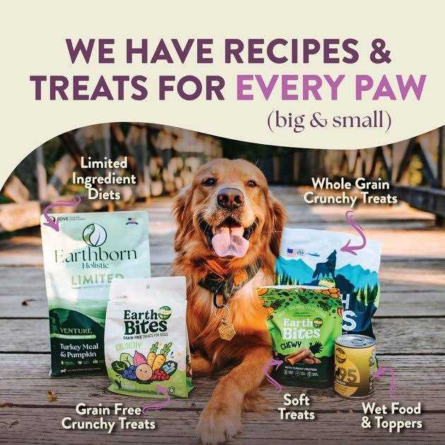 Roasted Lamb with Ancient Grains Dry Dog Food Z42798