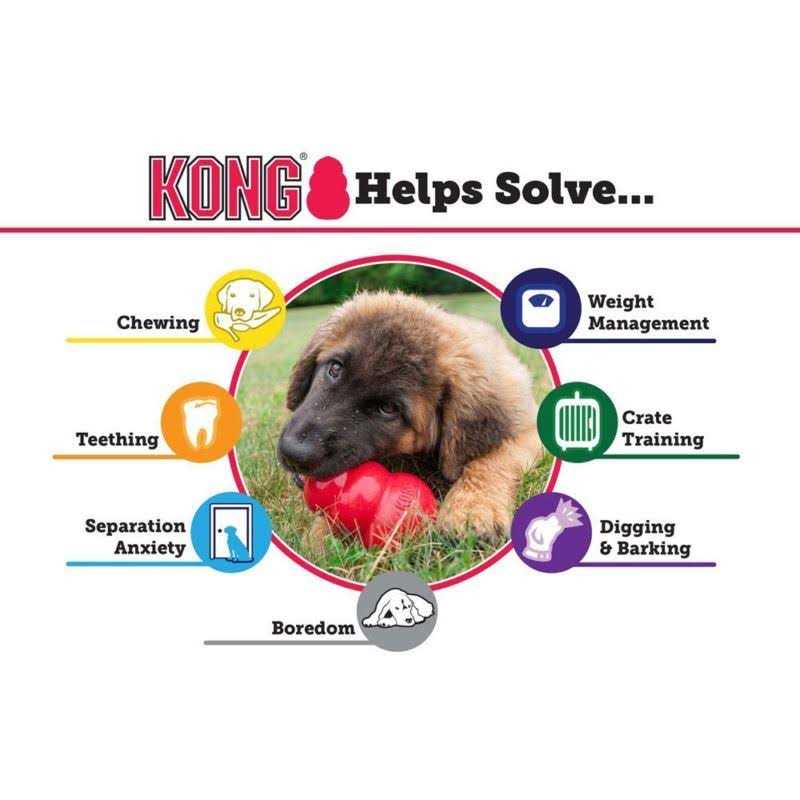 Senior Dog Toy B33117
