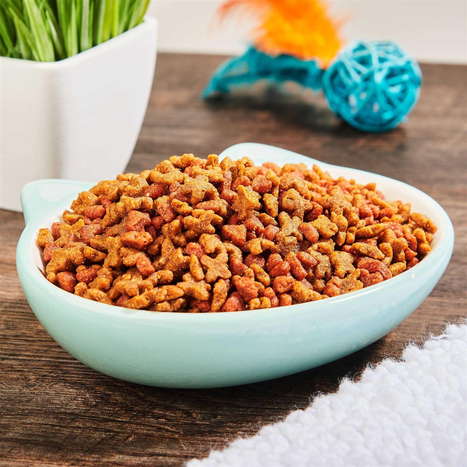 Kitten Formula Dry Cat Food W123