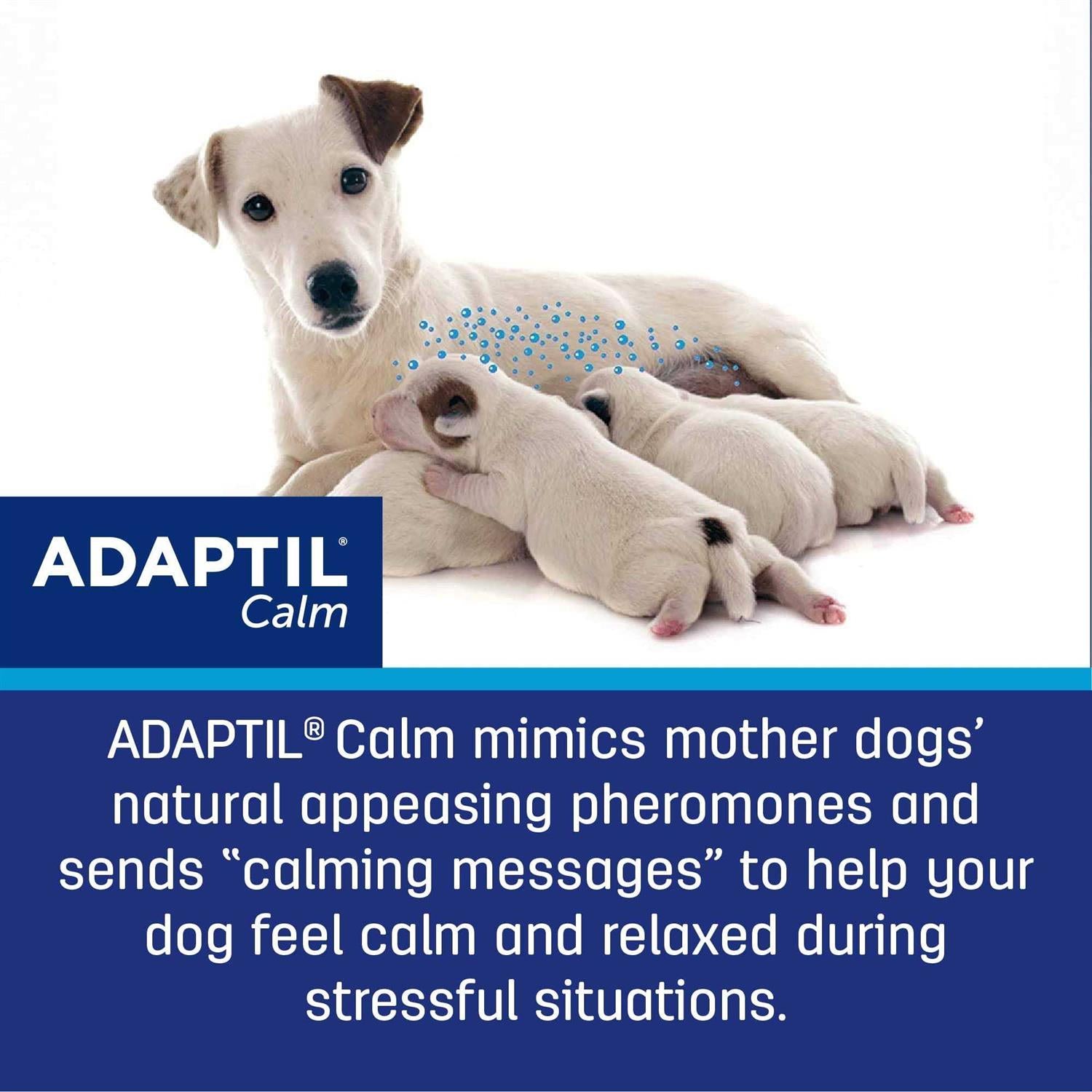 Calming Collar for Dogs V808857