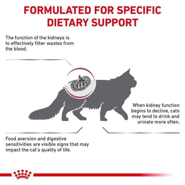 Renal Support Dry Cat Food for Adult Cats T213796