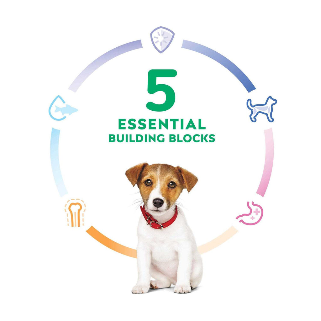 Puppy Small Bites Chicken Recipe Dry Dog Food K4084