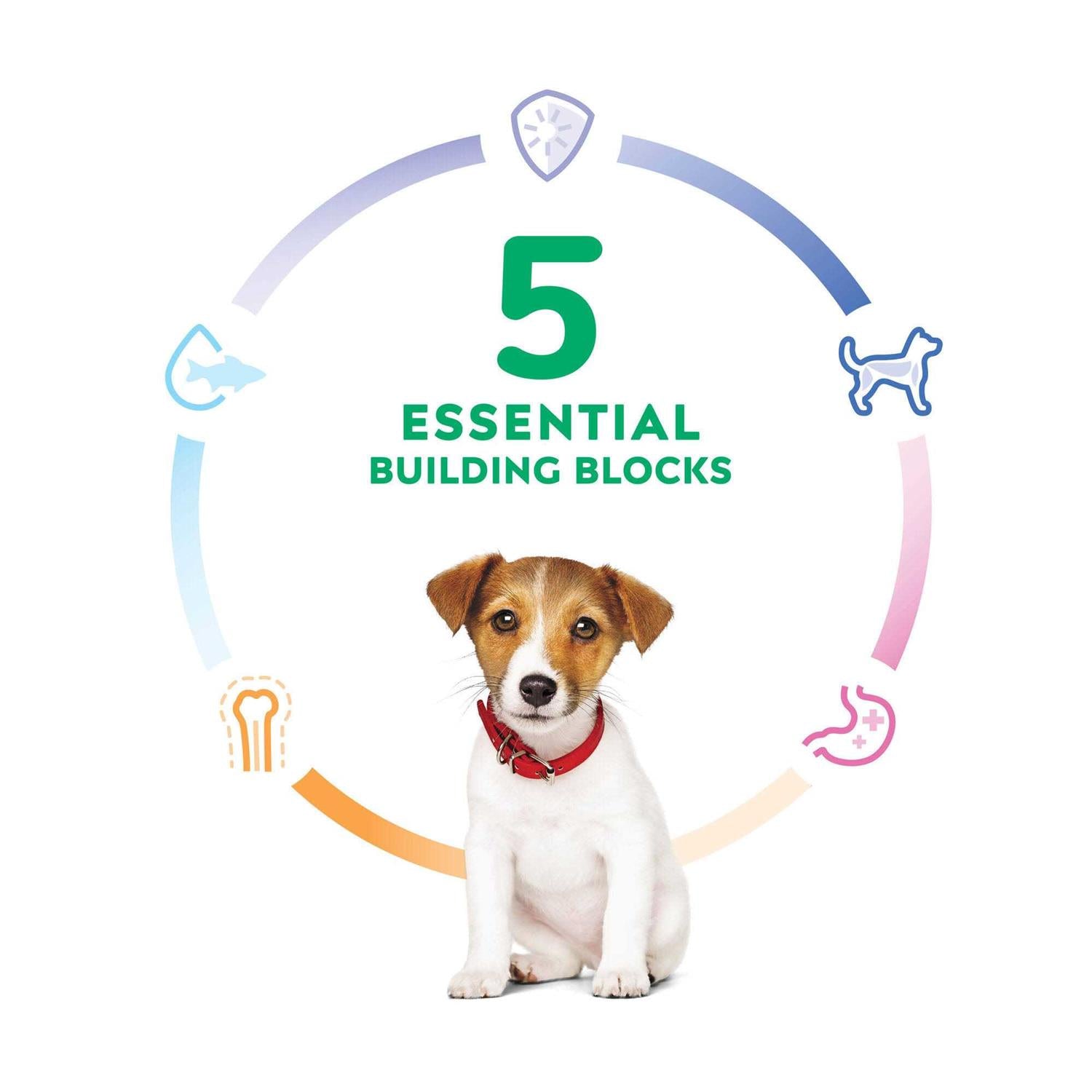 Puppy Small Bites Chicken Recipe Dry Dog Food K4084