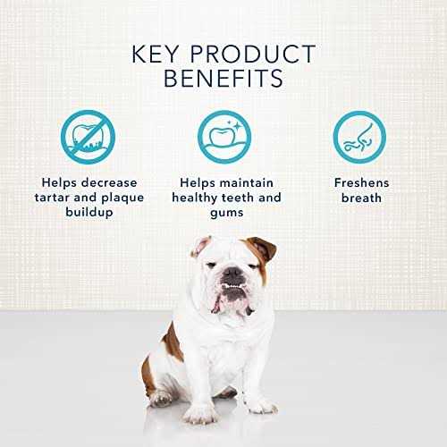 Dental Bones Dog Treats R38505