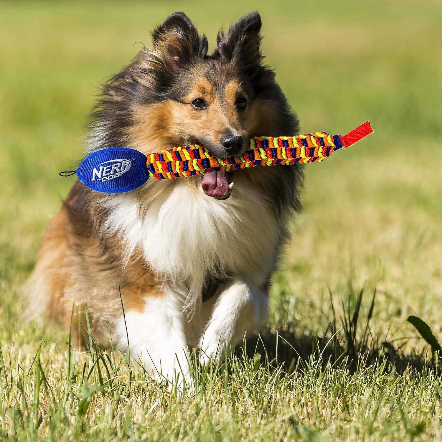 Vortex Chain Tug Dog Toy G44515