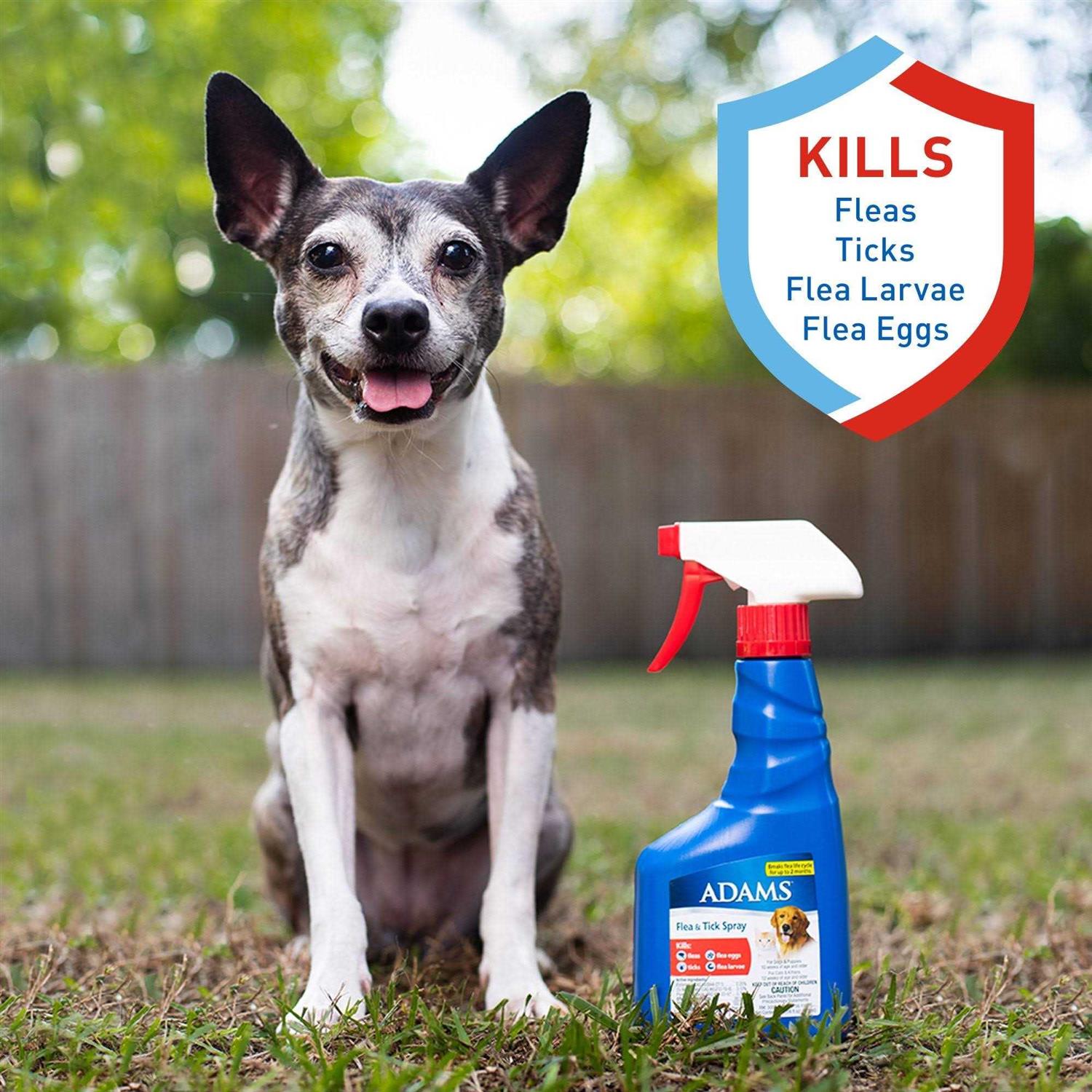 Flea and Tick Spray for Pets U90217