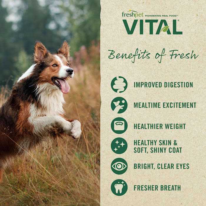 Vital Fresh Cuts Dog Food Chicken D5323