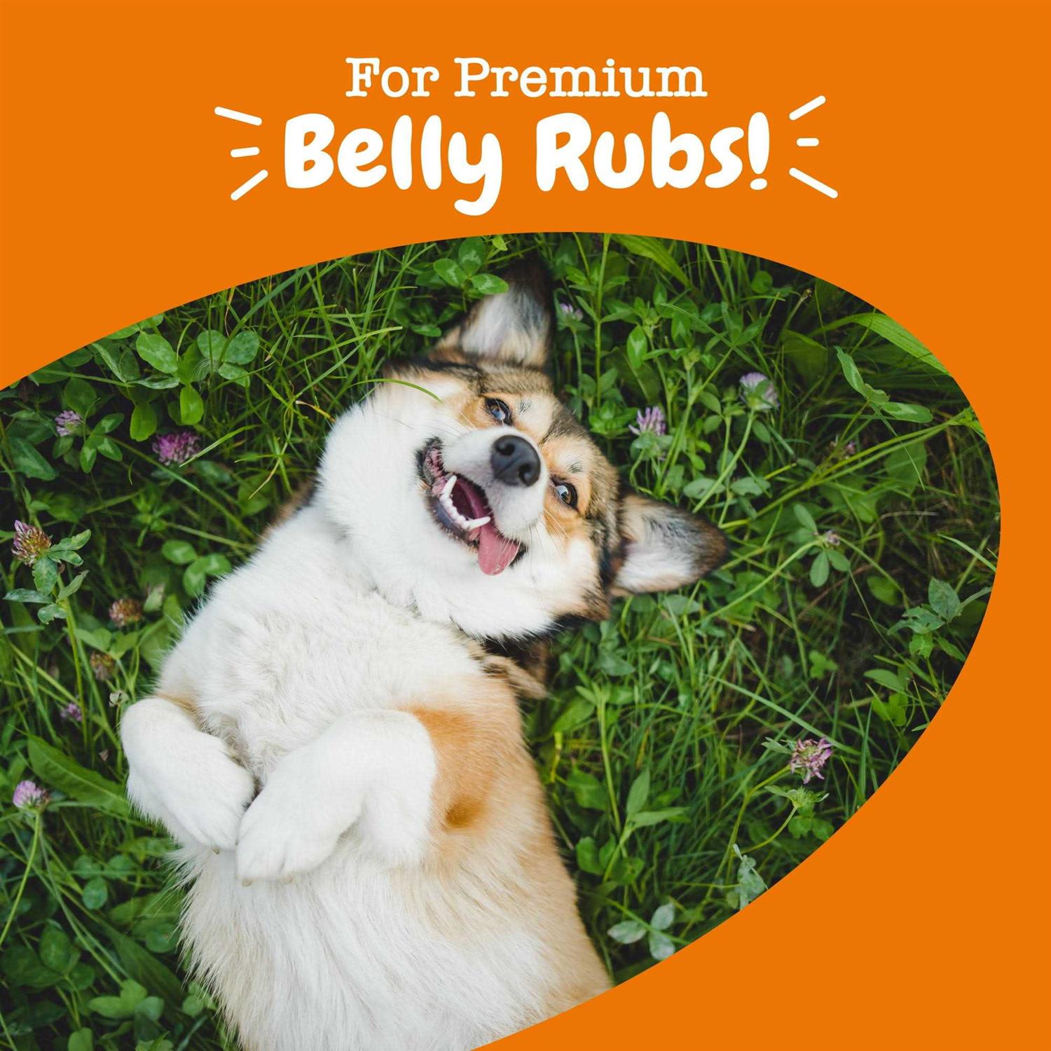 Probiotic Bites for Pets H279