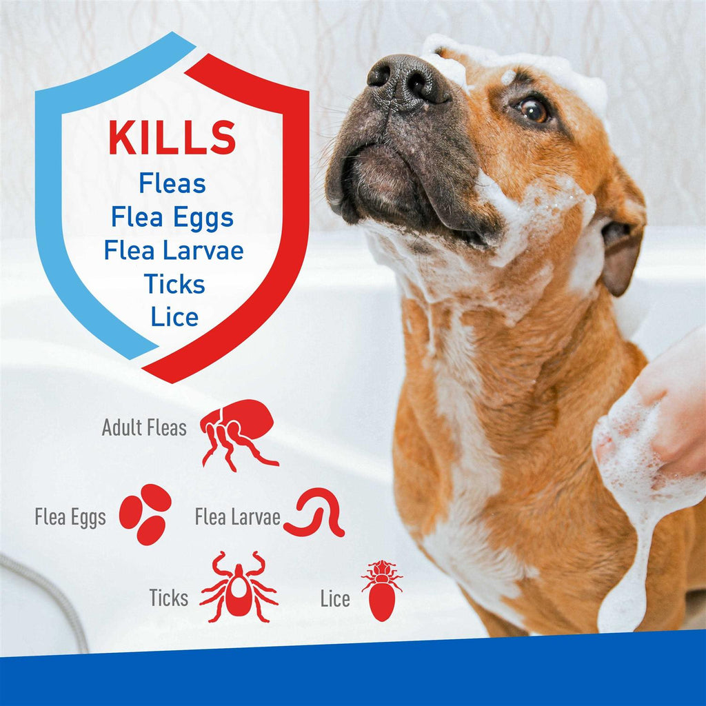 Flea and Tick Shampoo for Dogs and Cats H43223