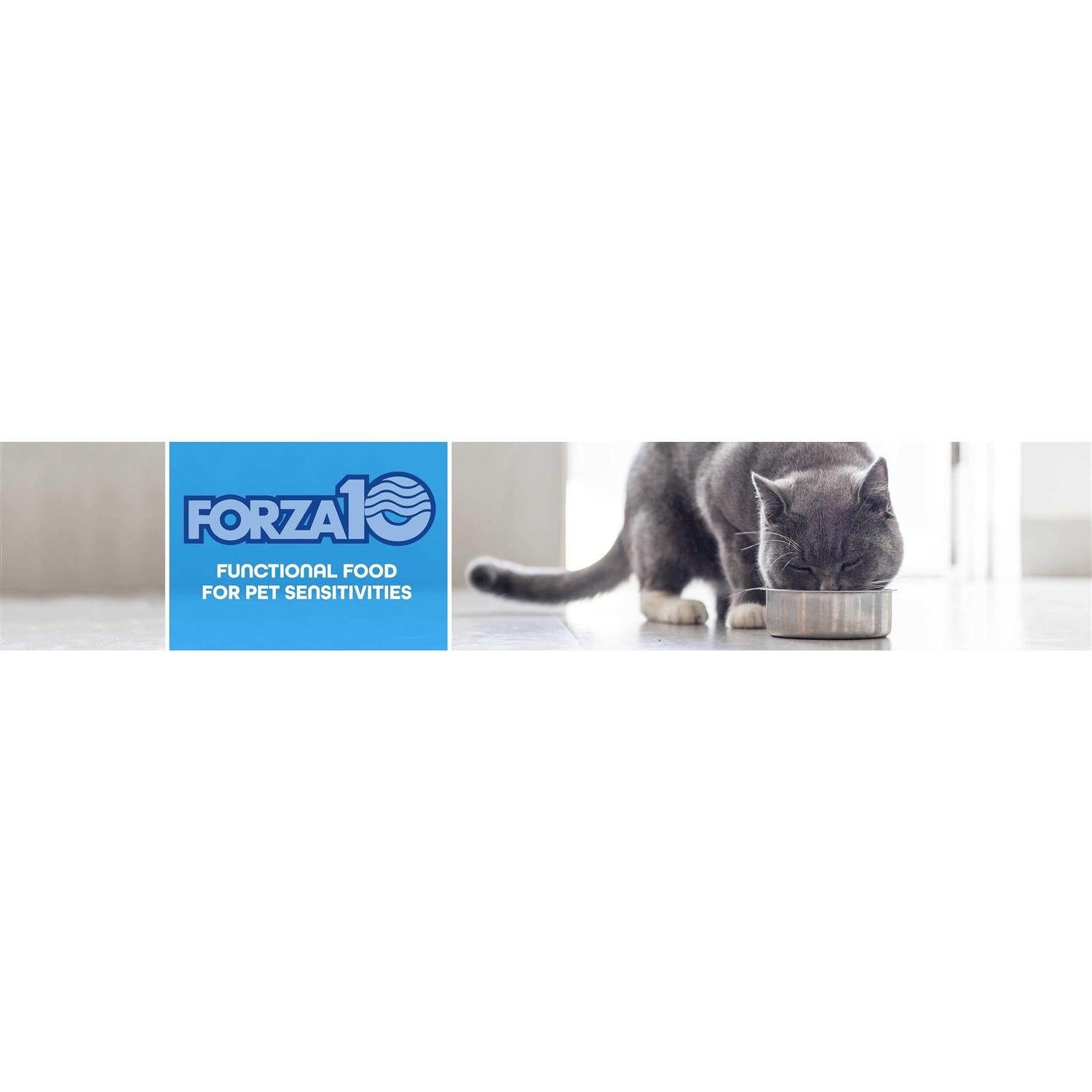 Urinary Dry Cat Food V370