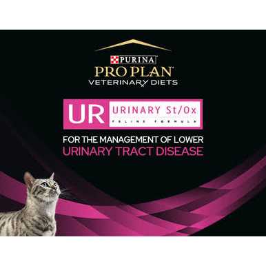 Urinary Care Wet Cat Food T6050