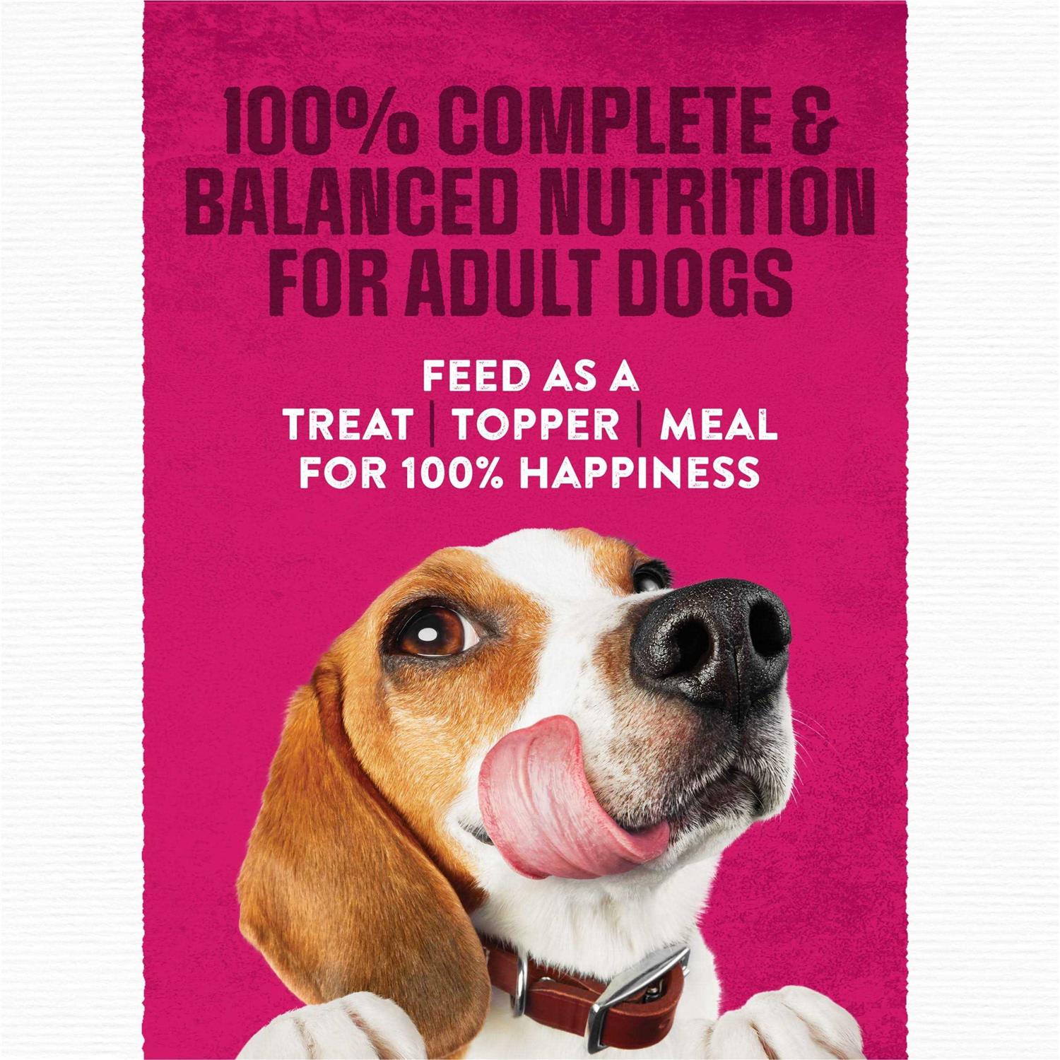 Steak Flavor Dry Dog Food F74996