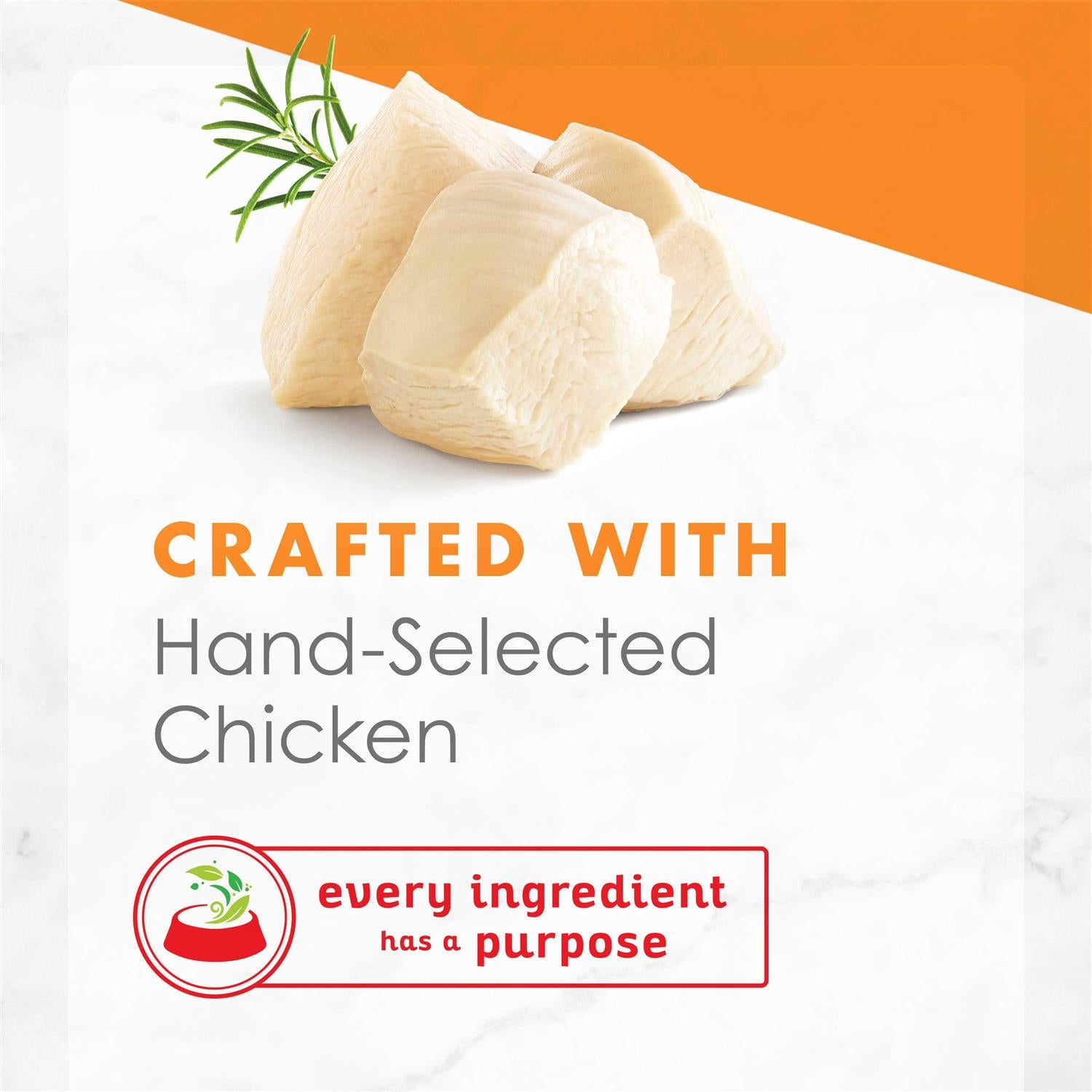 White Meat Chicken Broth Wet Cat Food P321