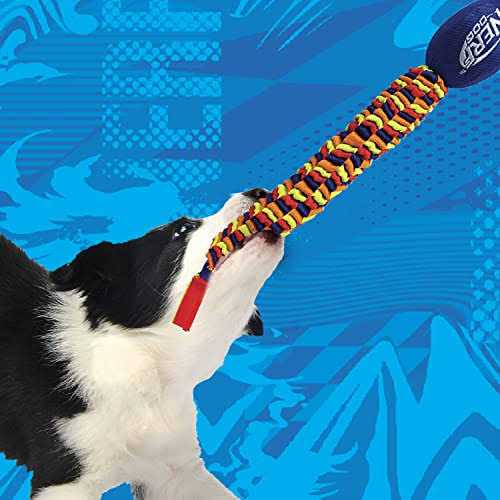 Vortex Chain Tug Dog Toy G44515