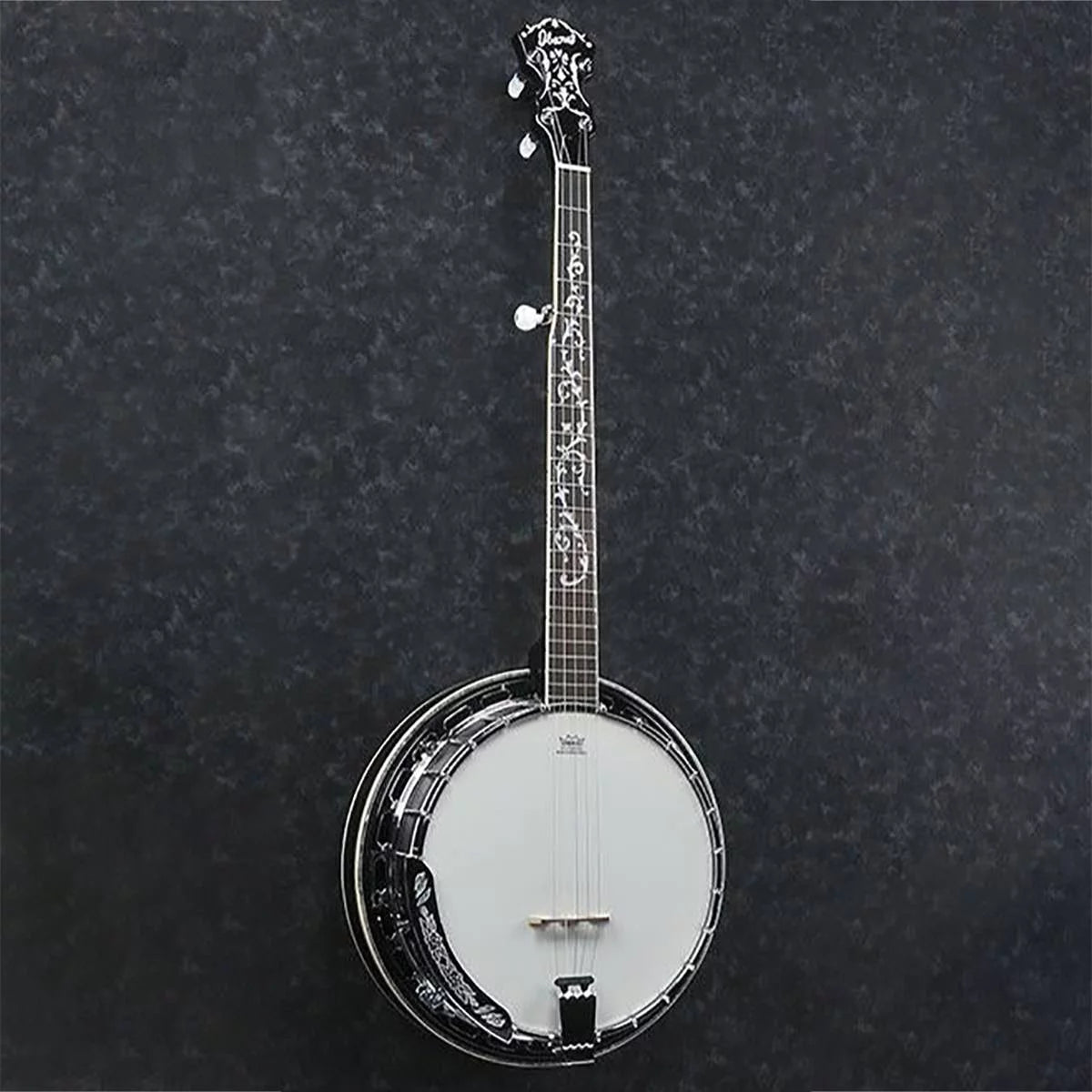 5-String Banjo J3964