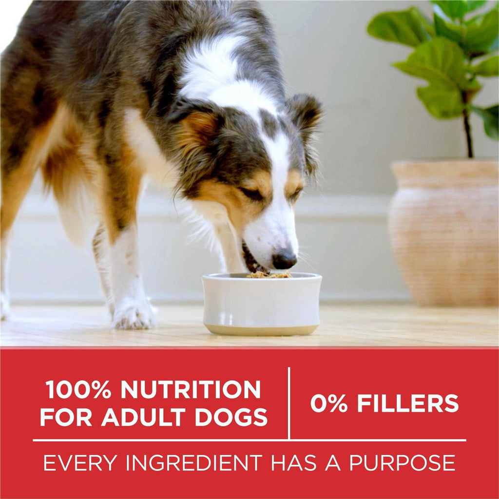Small Bites Beef & Rice Dry Dog Food Y2375