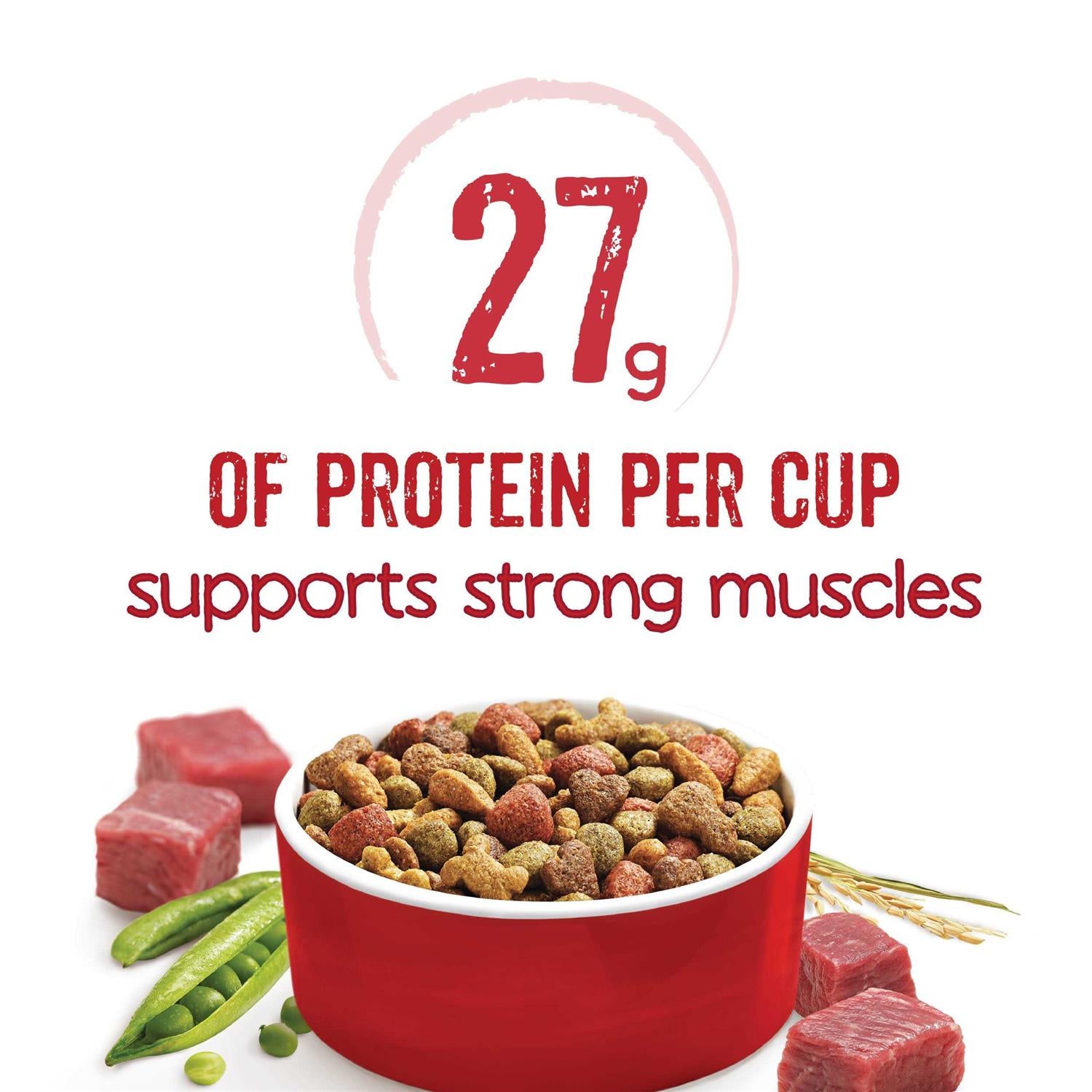 Beef Dry Dog Food J204