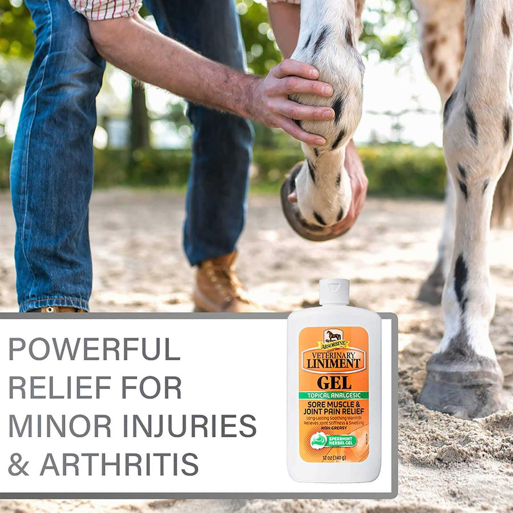 Veterinary Liniment Gel for Pets X352665
