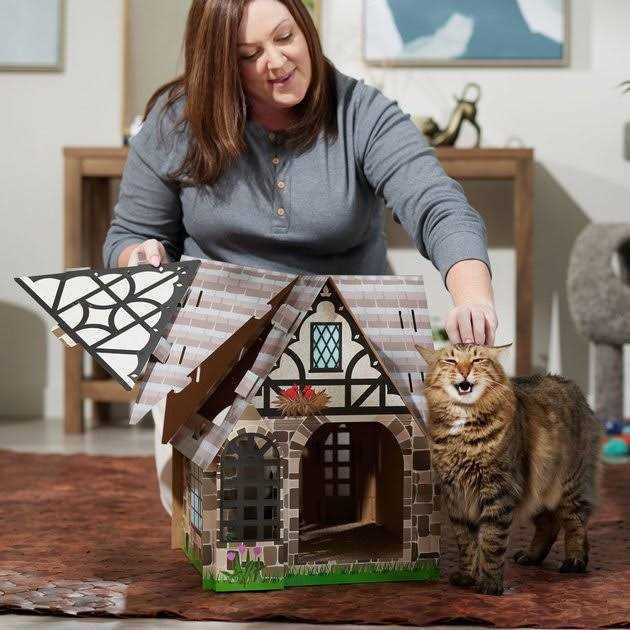 Cardboard Cat House I38432