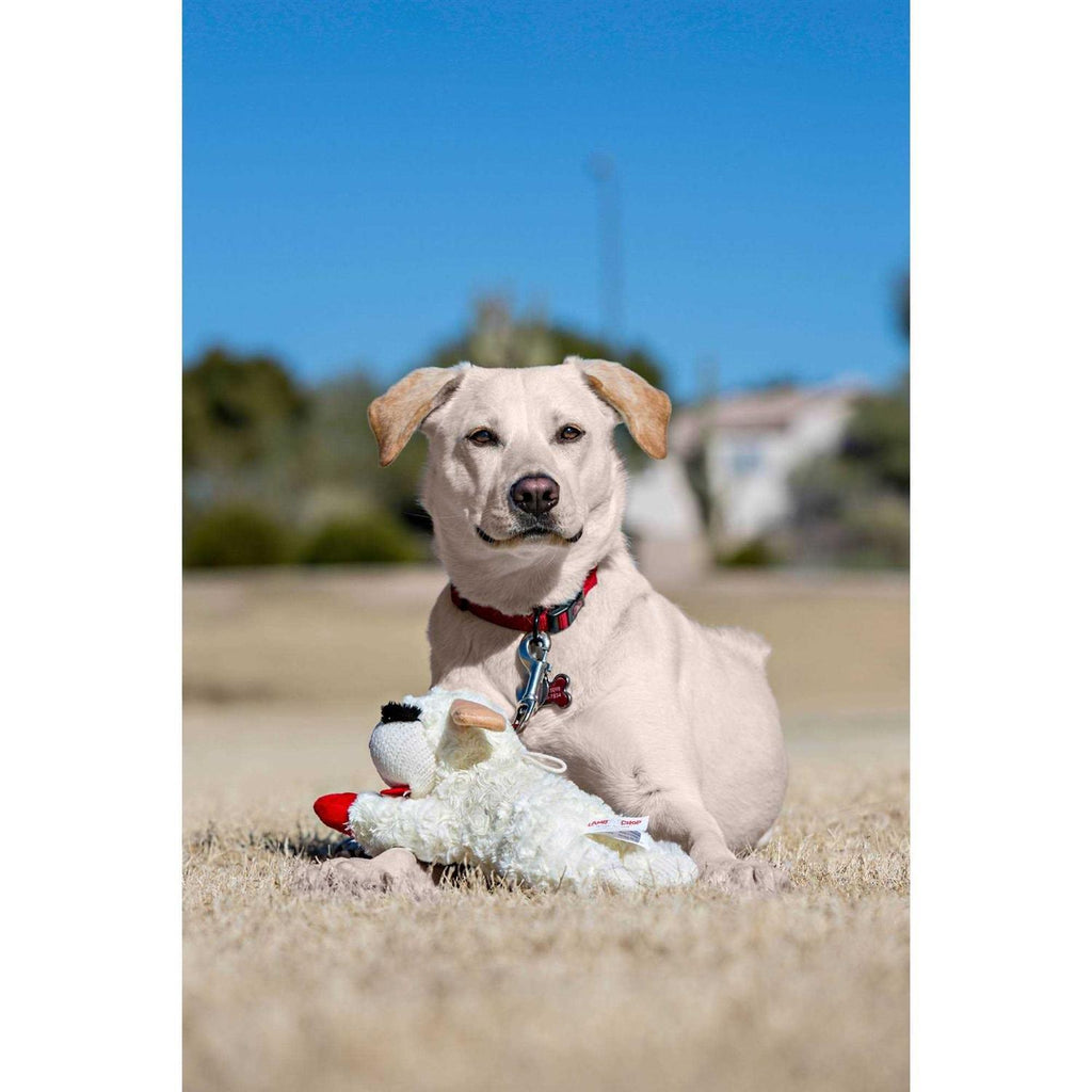 Lamb Chop Dog Toy K891