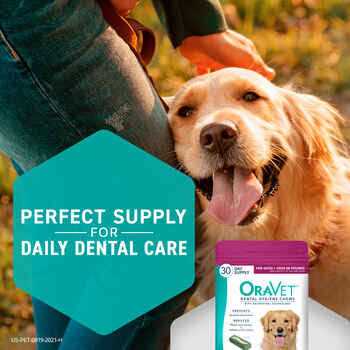 Dental Hygiene Chews for Dogs F6295