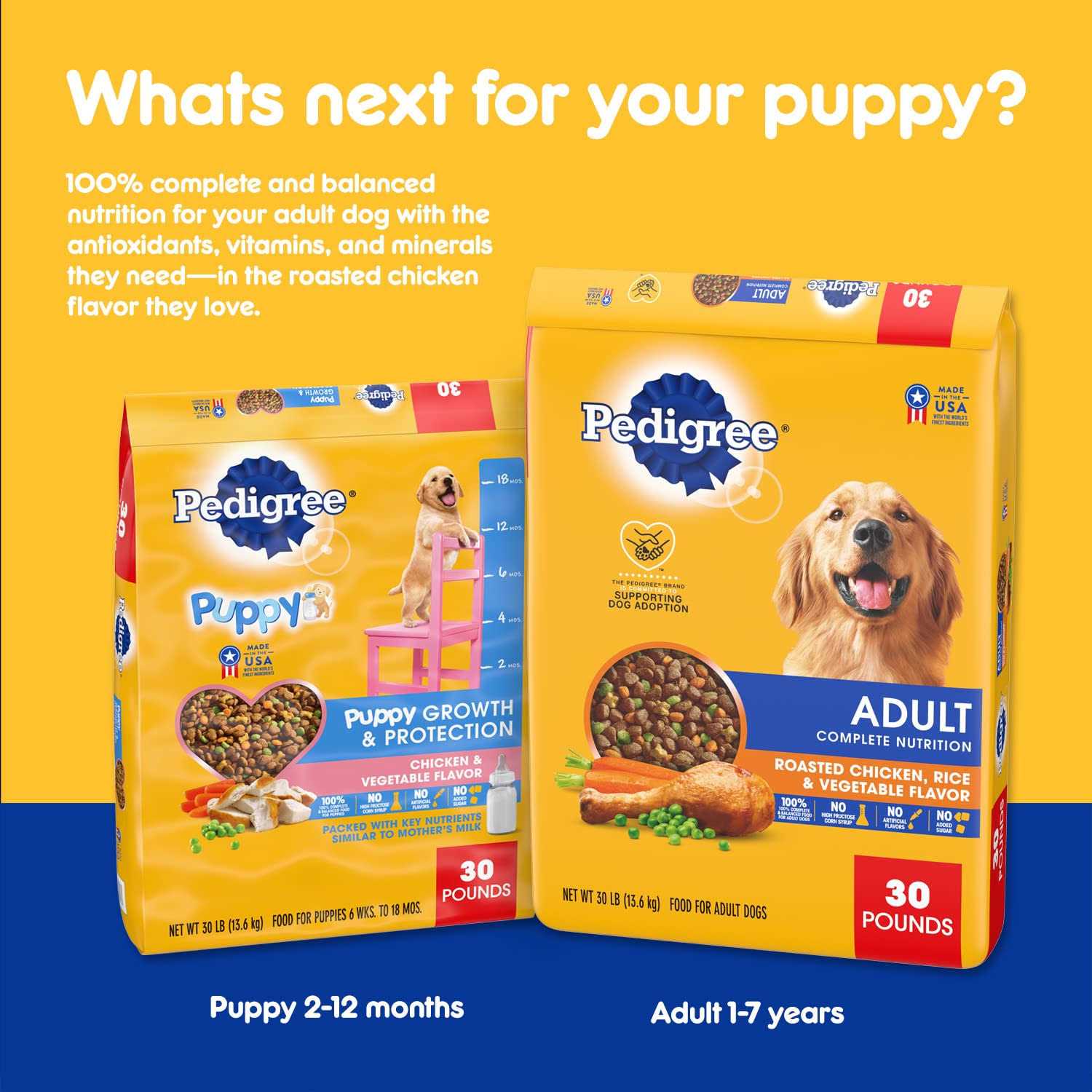 Puppy Dry Dog Food Chicken & Vegetable Flavor E745