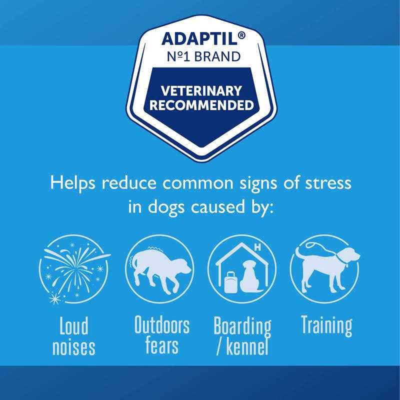 Calming Collar for Dogs V808857
