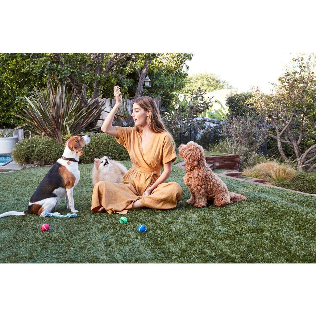 Organic Chicken Jerky Dog Treats X42961