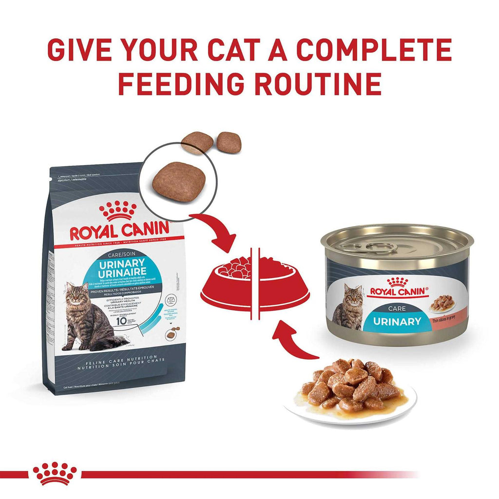 Urinary Care Wet Cat Food in Gravy Y65318