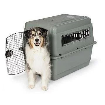 Dog Crate Travel Carrier for Large Dogs, Gray R278669