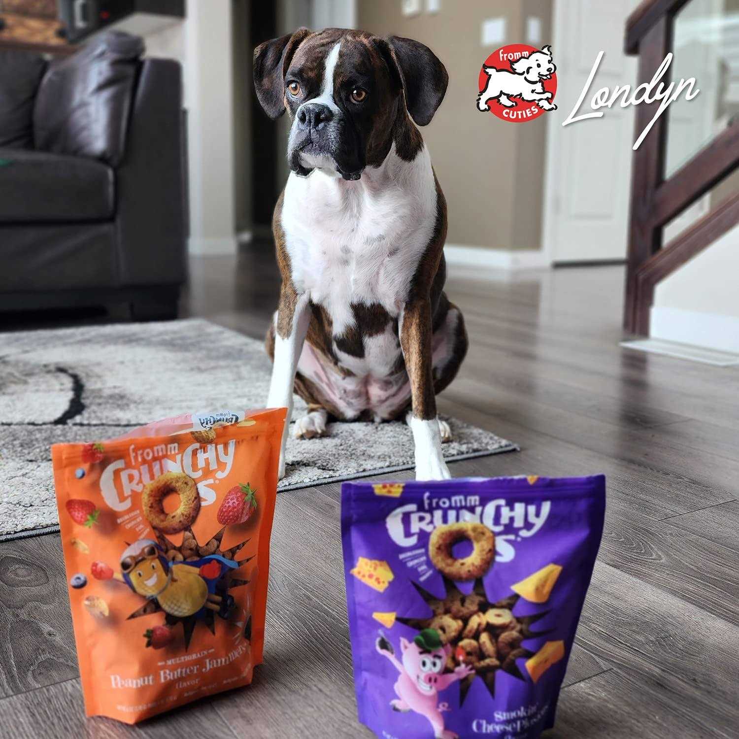 Crunchy O's Dog Treats Q880
