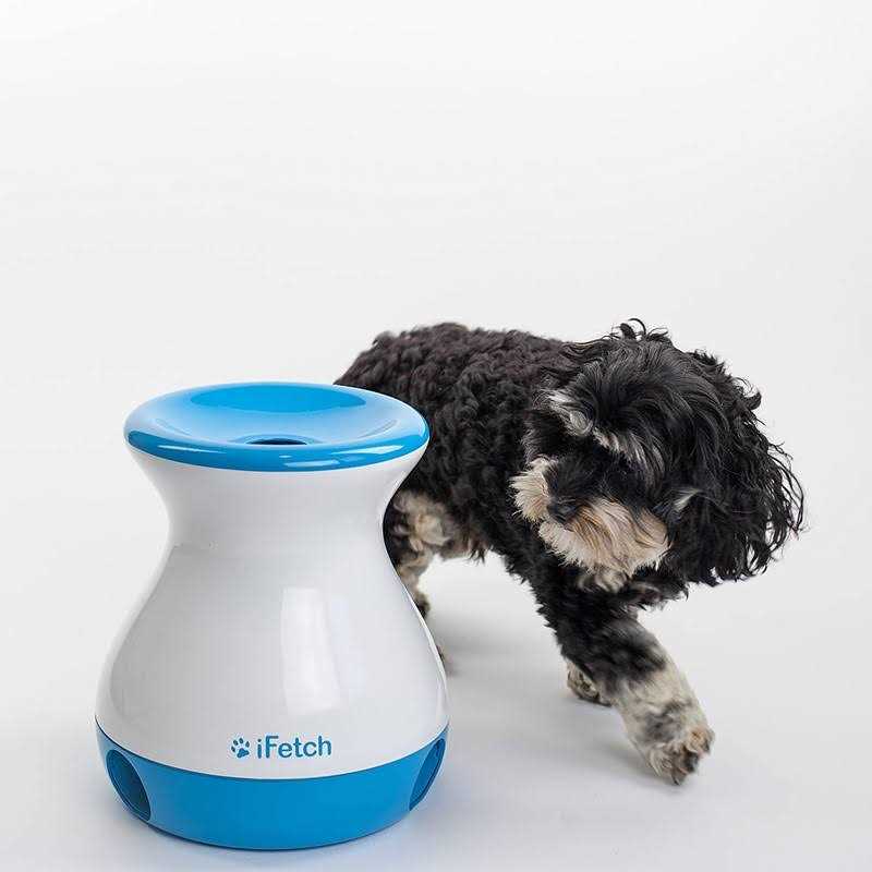 Frenzy Dog Toy S38218