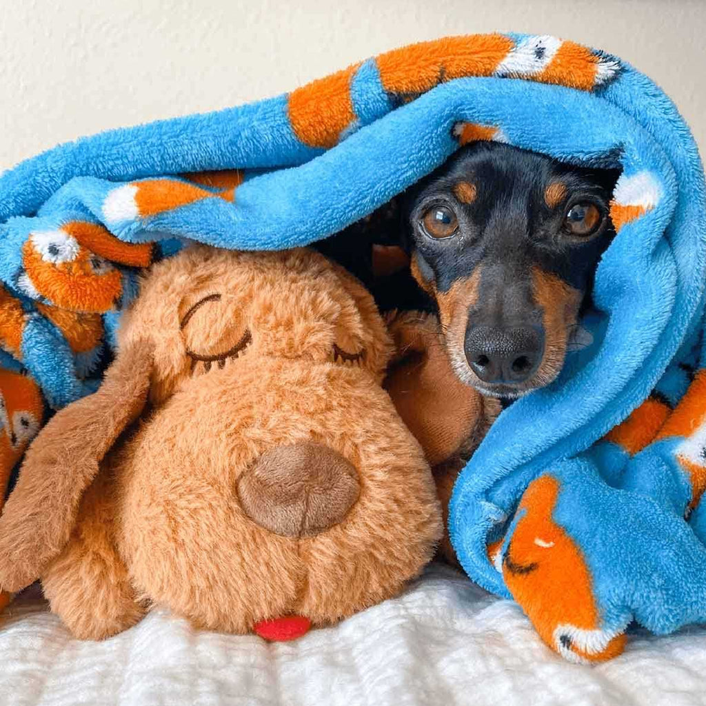 Brown Mutt Pet Supplies Z907