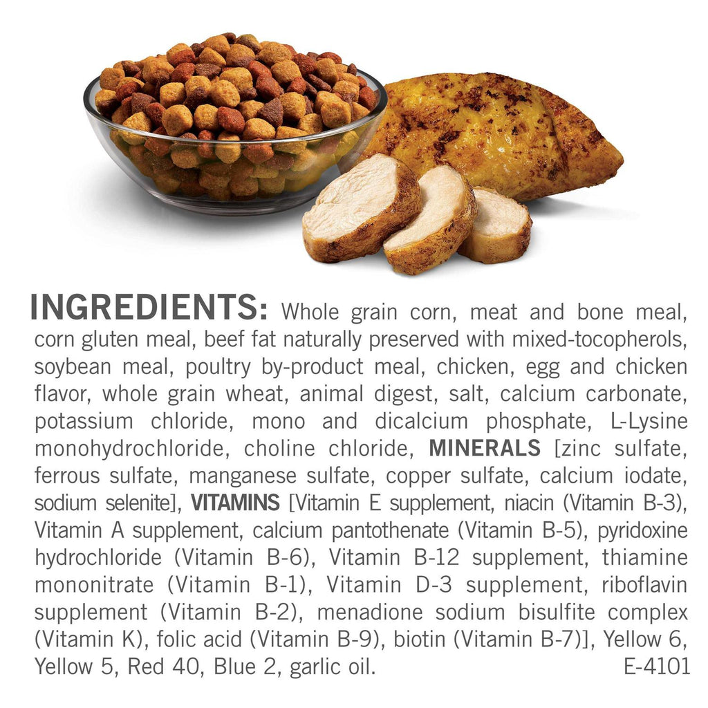 Adult Dry Dog Food Chicken Recipe R497515