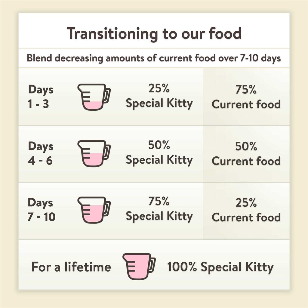 Kitten Formula Dry Cat Food W123