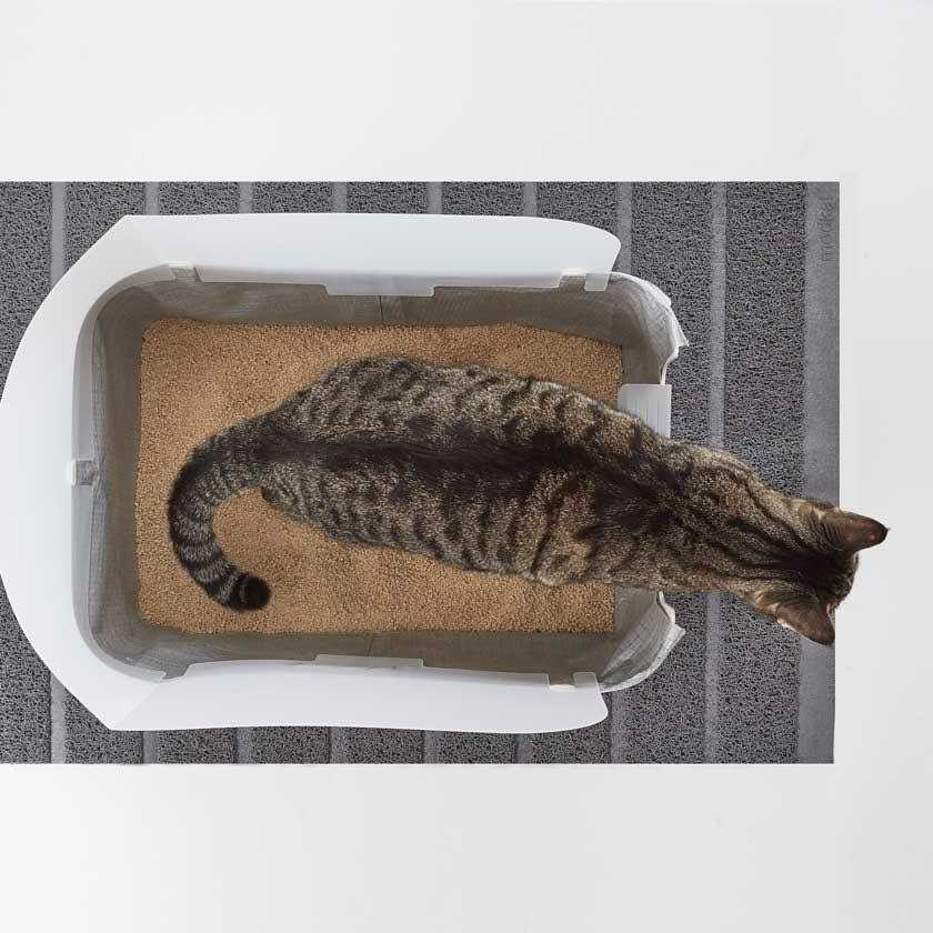 Litter Tray O9426