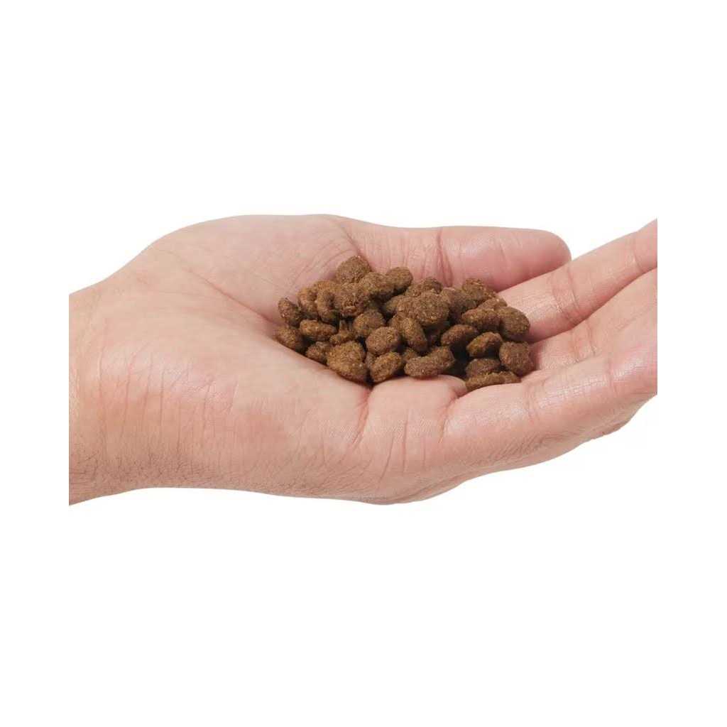 Adult Boar & Apple Grain Free Dry Cat Food I77636