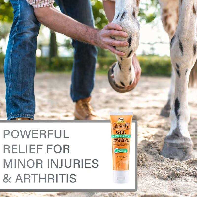 Veterinary Liniment Gel for Pets M991