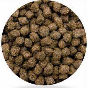 Dog Food - Pet Supplies Q26674